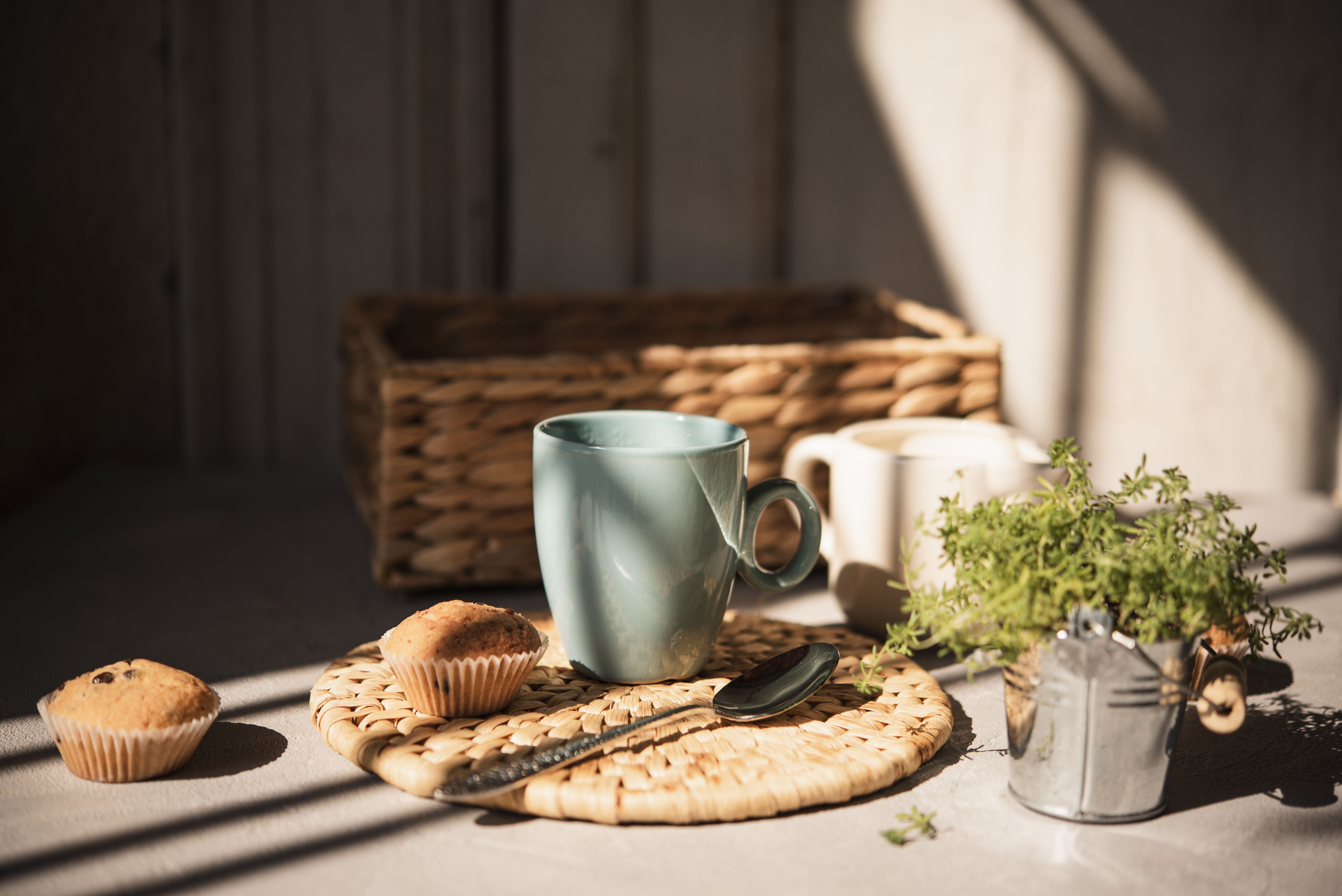 Understanding Stomach Cancer Symptoms and When to Seek Medical Care